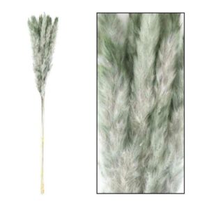 Trawa pampasowa mace mięta 75 cm 10 szt