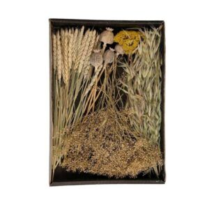 Susz dekoracyjny florystyczny naturalny
